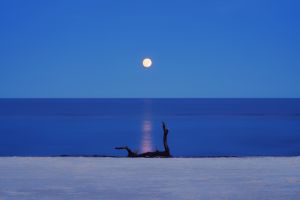 Baltic Moonrise
