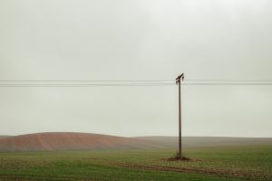 Electric Pole