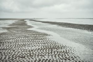 Alone in the Mudflats