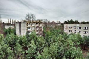 Housing Among Pines