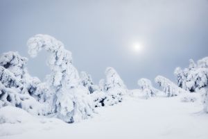 Brocken Ghosts