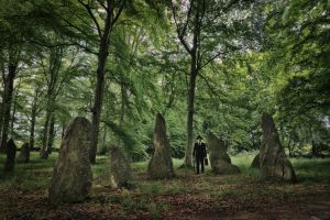 In the Menhir Grove